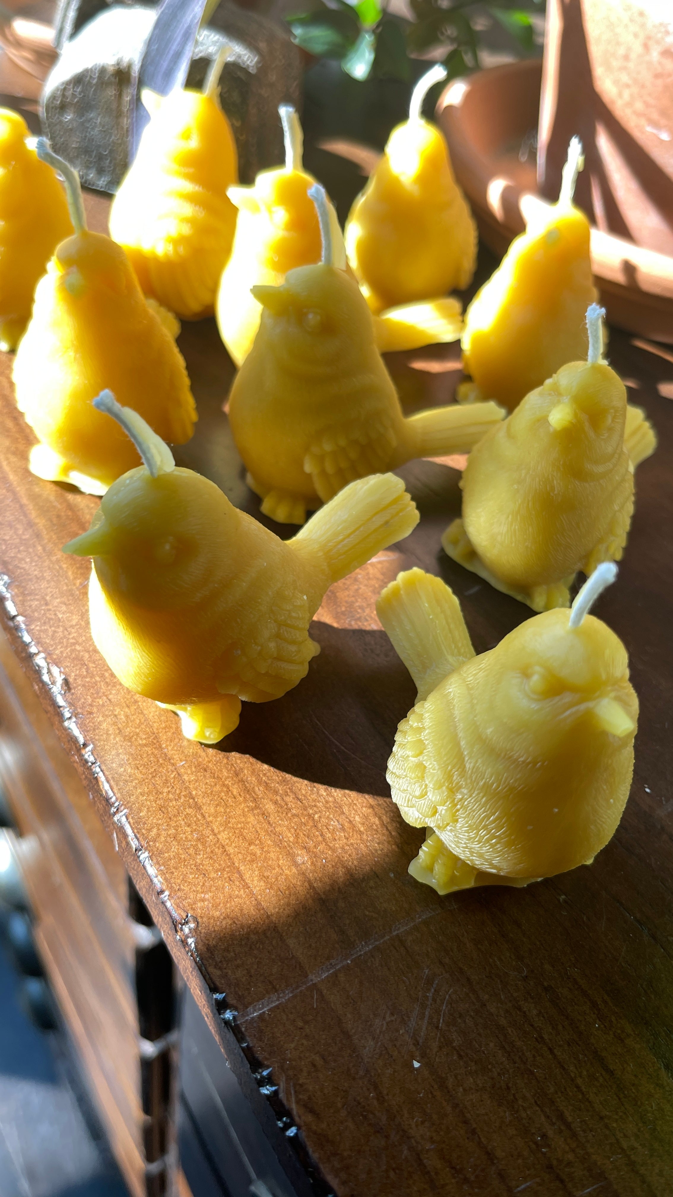 100% Beeswax Songbird Candle