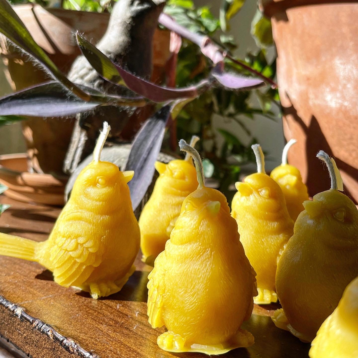 Beeswax Songbird Candle