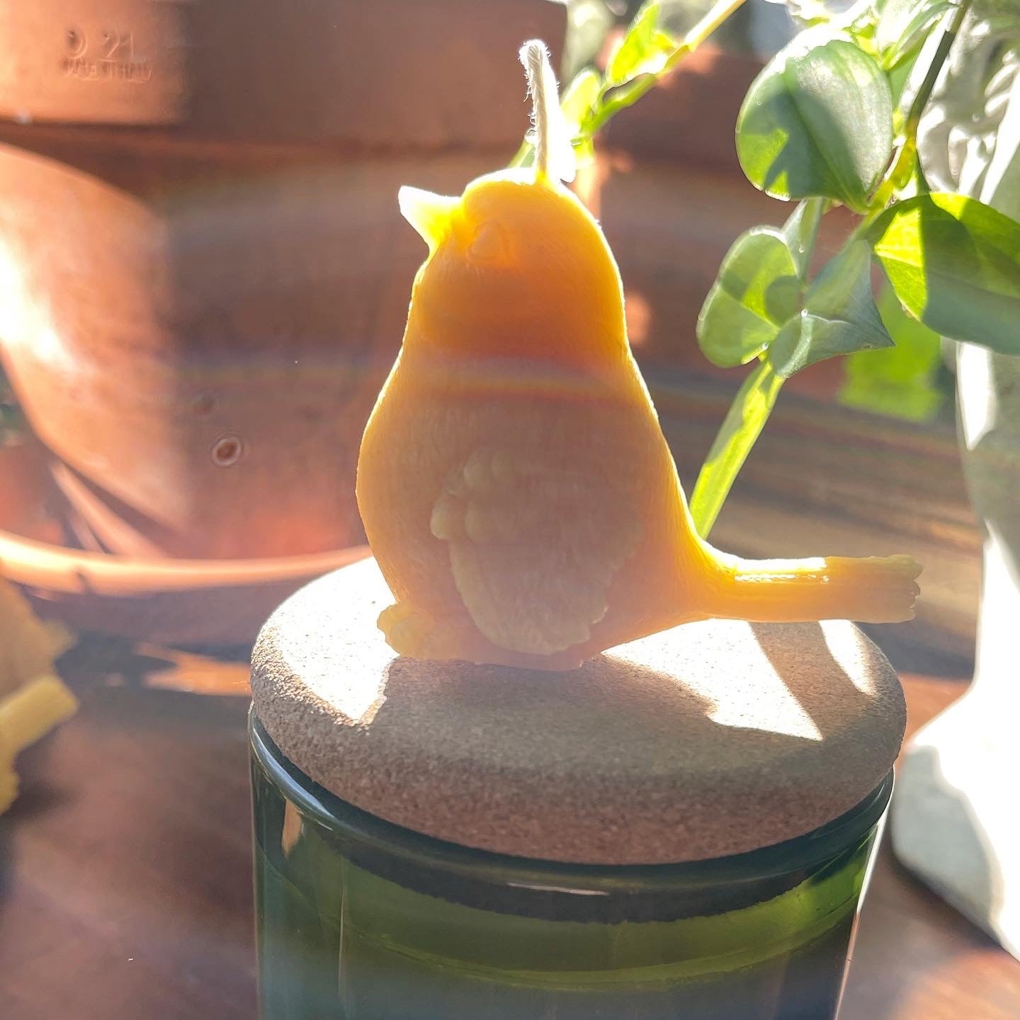 Beeswax Songbird Candle